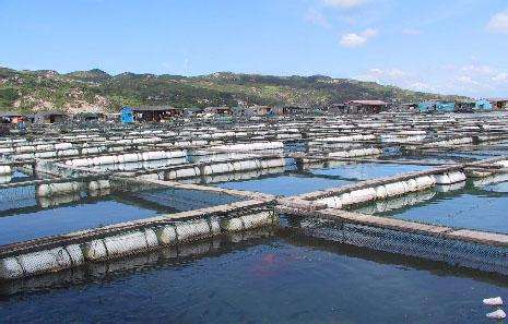 德瑞亞空壓機(jī)助力淡水養(yǎng)殖，營(yíng)造和諧水產(chǎn)市場(chǎng)