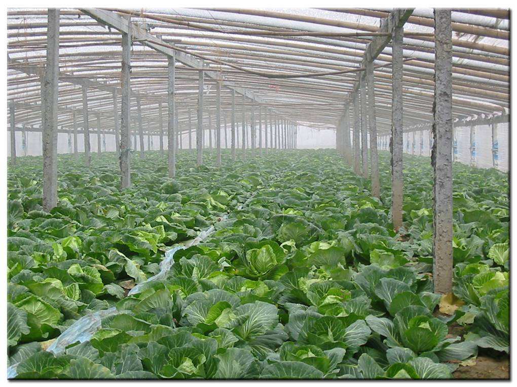 德瑞亞空壓機(jī)助力食品加工，節(jié)能無(wú)止盡